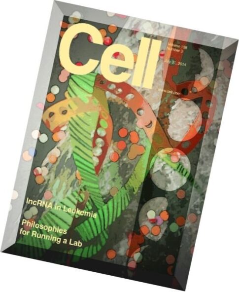 Cell – 31 July 2014