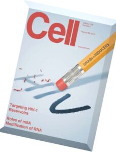 Cell – 28 August 2014