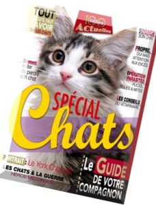 100 Idees Actuelles N 2 – Special Chats 2014
