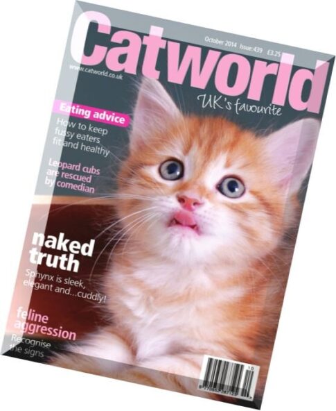 Catworld — October 2014