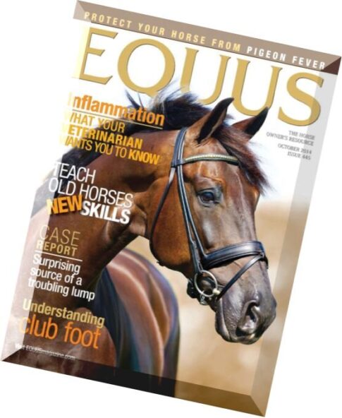 Equus — October 2014