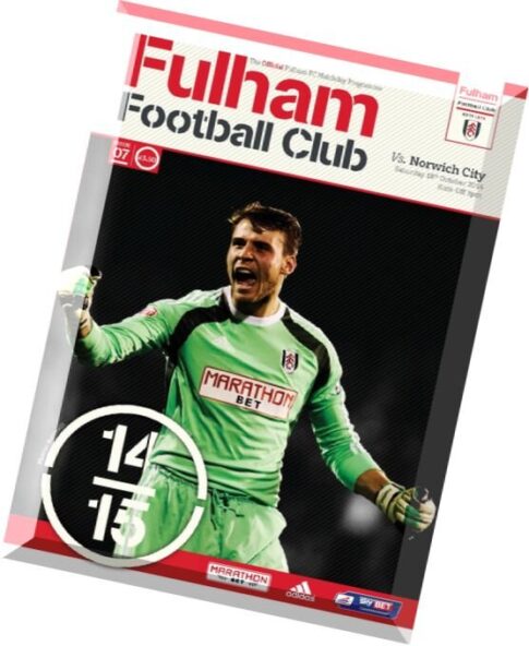 Fulham FC — Fulham vs Norwich City — 18 October 2014
