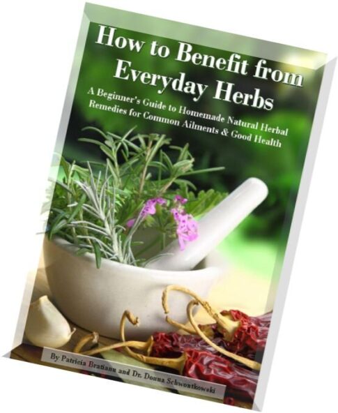 How to Benefit from Everyday Herbs