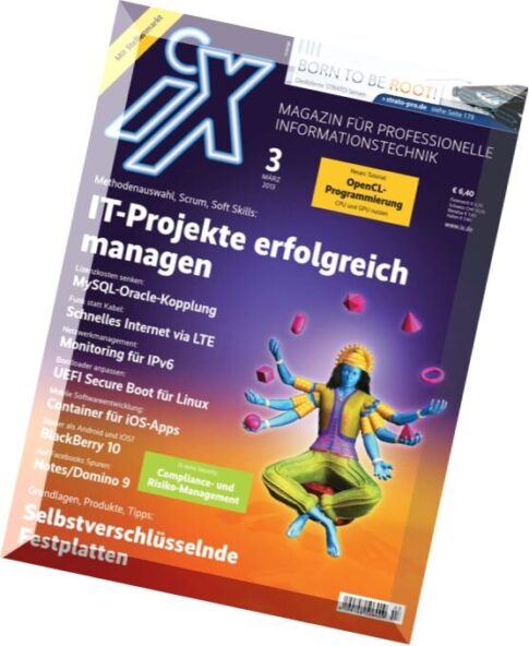 iX Magazin Marz 2013