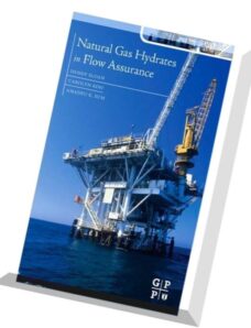 Natural Gas Hydrates in Flow Assurance