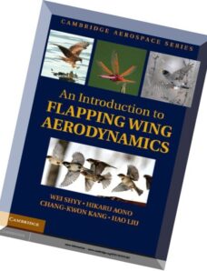 An Introduction to Flapping Wing Aerodynamics