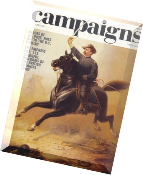 Campaigns N 49 (1984)