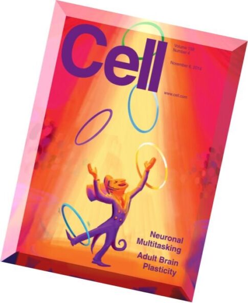 Cell – 6 November 2014