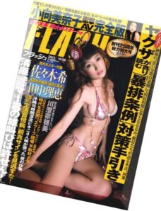 Flash Magazine 2011 — N 1163