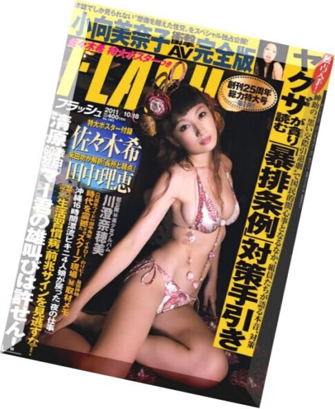 Flash Magazine 2011 — N 1163