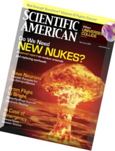 Scientific American – November 2007
