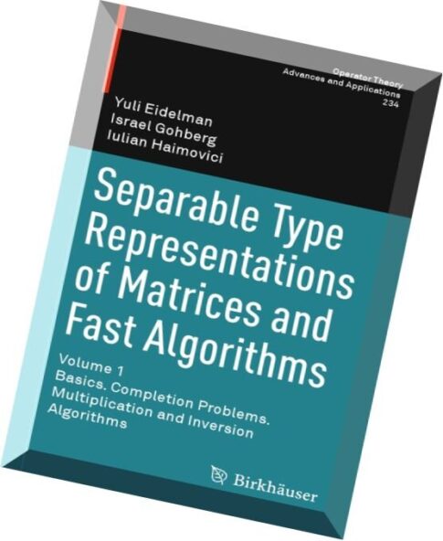 Separable Type Representations of Matrices and Fast Algorithms Volume 1 Basics. Completion Problems.