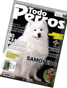 Todo Perros – November 2014