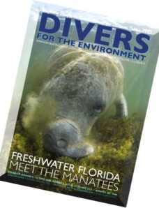 Divers For The Environment — December 2014