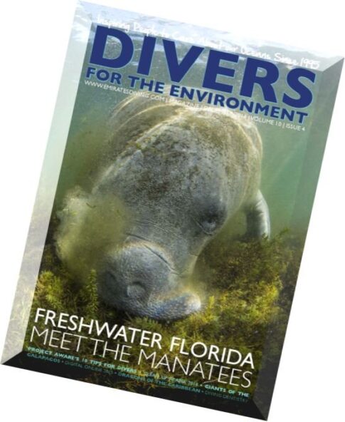 Divers For The Environment – December 2014