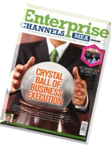 Enterprise Channels MEA — November 2014