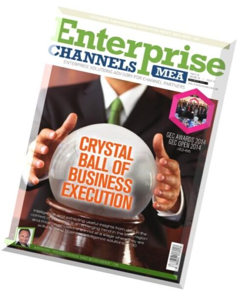 Enterprise Channels MEA – November 2014