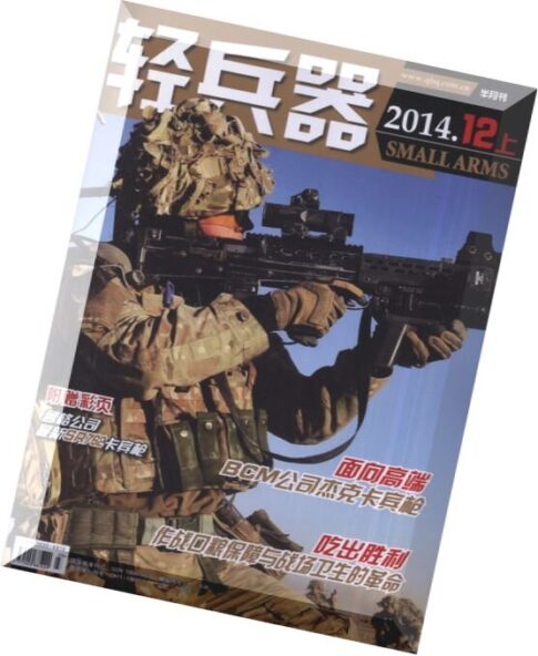 Small Arms – December 2014 (N 12.1)
