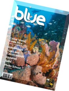 Blue Magazine – Vol. 6 Issue 1, 2015