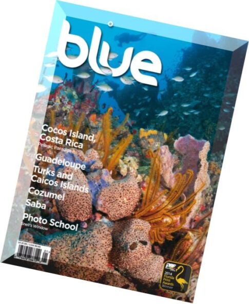 Blue Magazine — Vol. 6 Issue 1, 2015