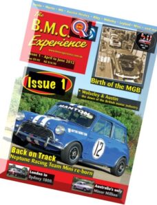 BMC Experience – Issue 1, April-June 2012