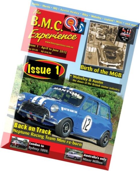 BMC Experience – Issue 1, April-June 2012
