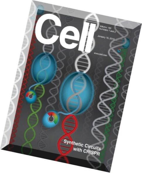 Cell – 15 January 2015