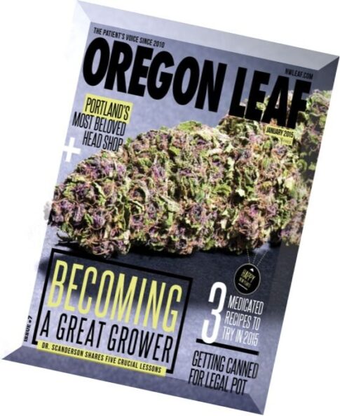 Oregon Leaf – January 2015