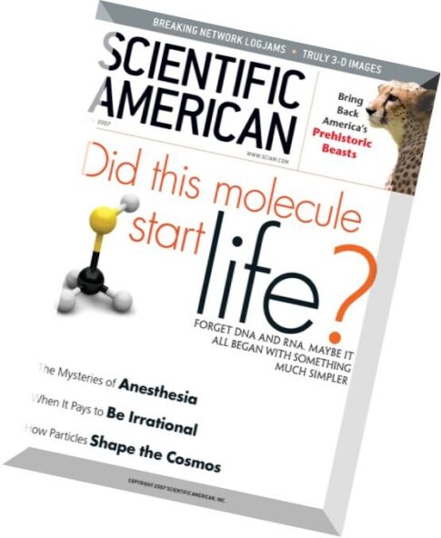 Scientific American — June 2007