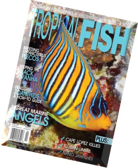 Tropical Fish Hobbyist — February 2015