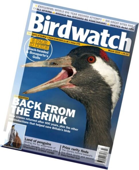 Birdwatch – March 2015