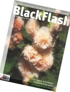 BlackFlash – December 2014