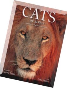 Cats of Africa
