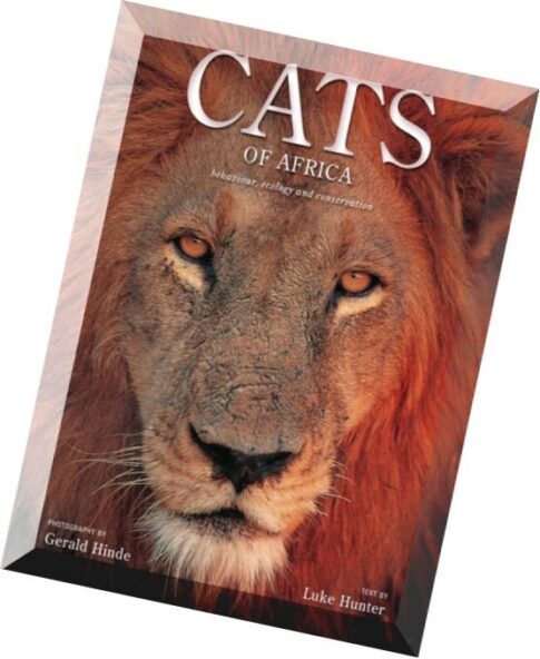 Cats of Africa