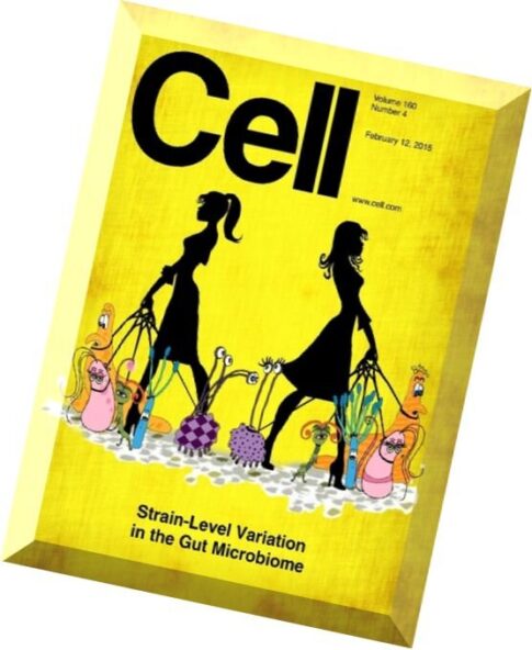 Cell – 12 February 2015