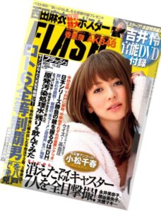 Flash Magazine 2011 — N 1167