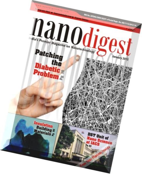 Nano Digest – January 2015