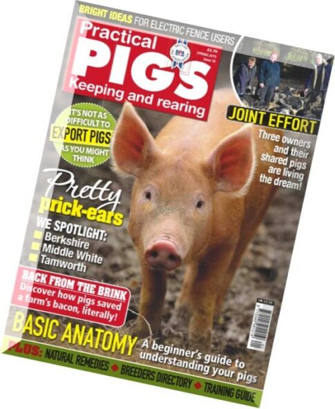 Practical Pigs – Spring 2015