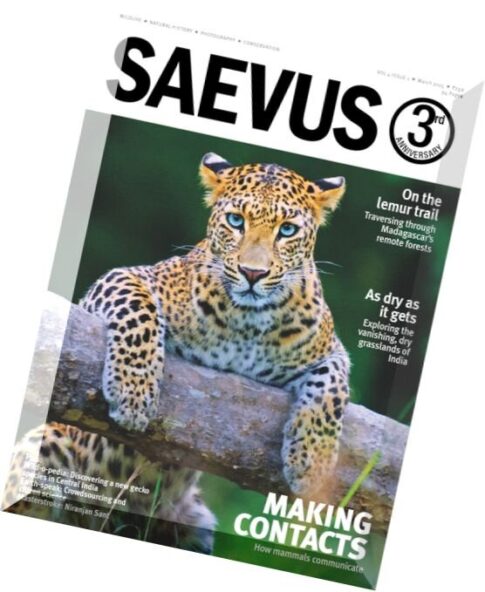 Saevus Magazine — March 2015