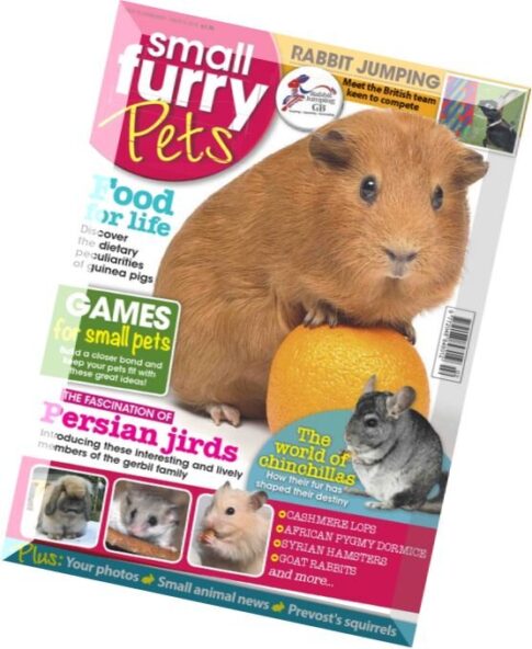 Small Furry Pets – February-March 2015