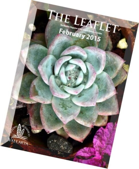 The Leaflet – February 2015