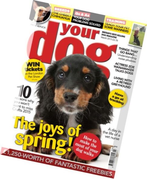 Your Dog – March 2015
