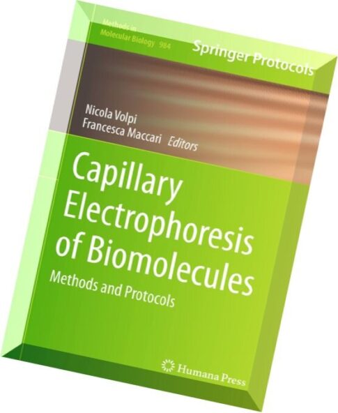 Capillary Electrophoresis of Biomolecules Methods and Protocols