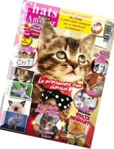 Chats D’Amour N 37 – 2015