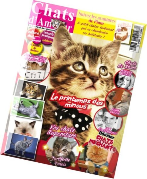 Chats D’Amour N 37 – 2015