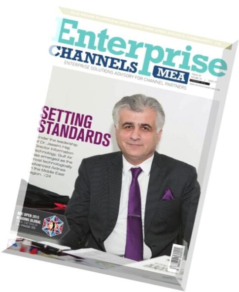 Enterprise Channels MEA – February 2015