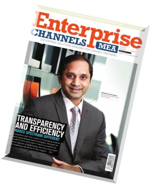 Enterprise Channels MEA – March 2015