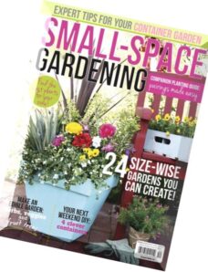Flea Market Decor – Small Space Gardening 2015