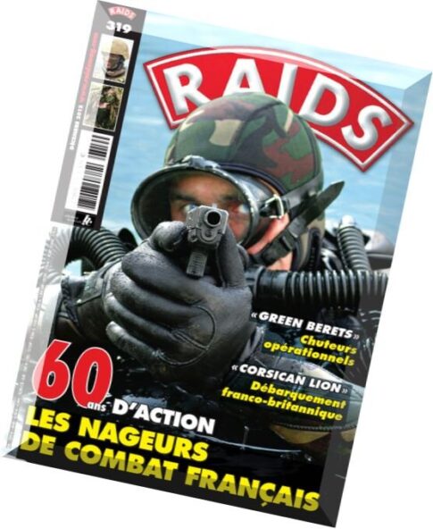 RAIDS – Decembre 2012