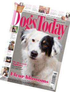 Dogs Today — May 2015